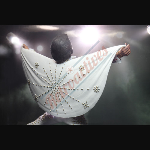 Elvis Presley Live in '72 NECA 7 Inch Action Figure - Boxed Figure Elvis Presley Live in '72 NECA 7 Inch Action Figure - Boxed Figure